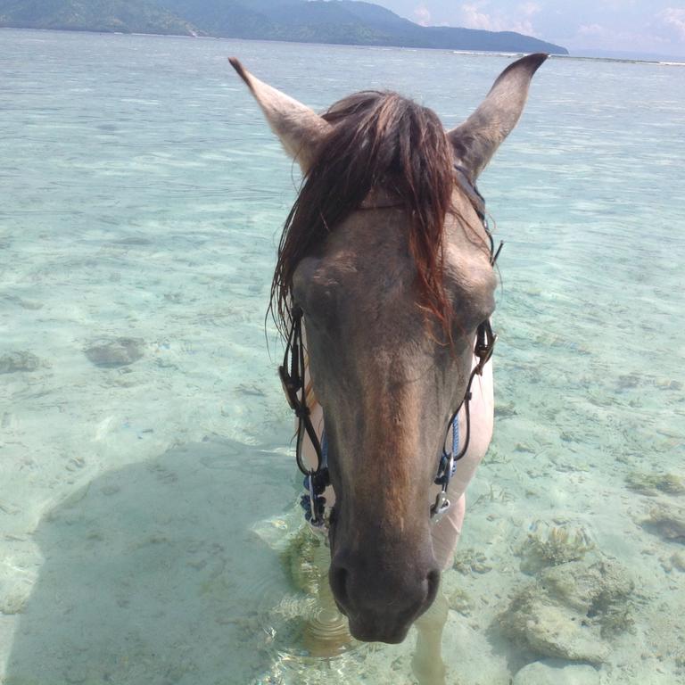Gili T Sugar Shack Hotel Gili Trawangan Bagian luar foto